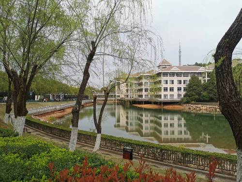 微信图片_20230313144748